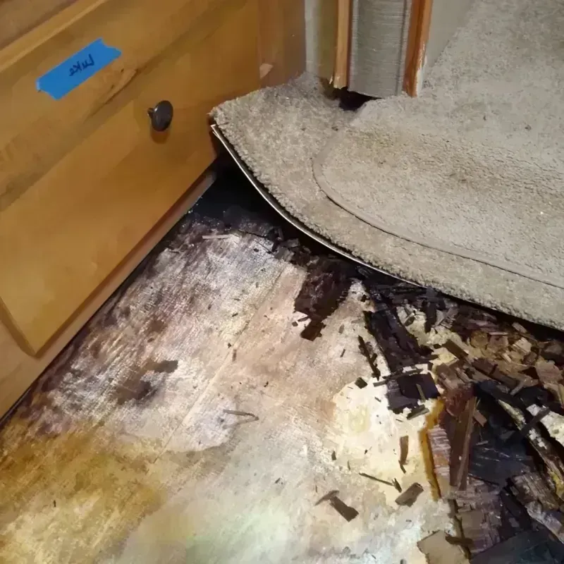 Wood Floor Water Damage in Wharton, TX